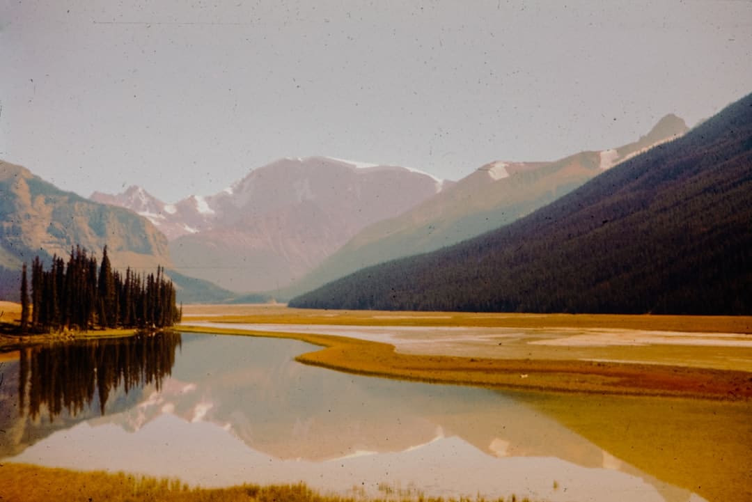 暑期“旅行专列”，让远方有景更有诗意